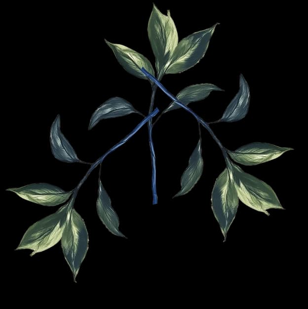 green leaves